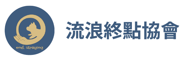首頁